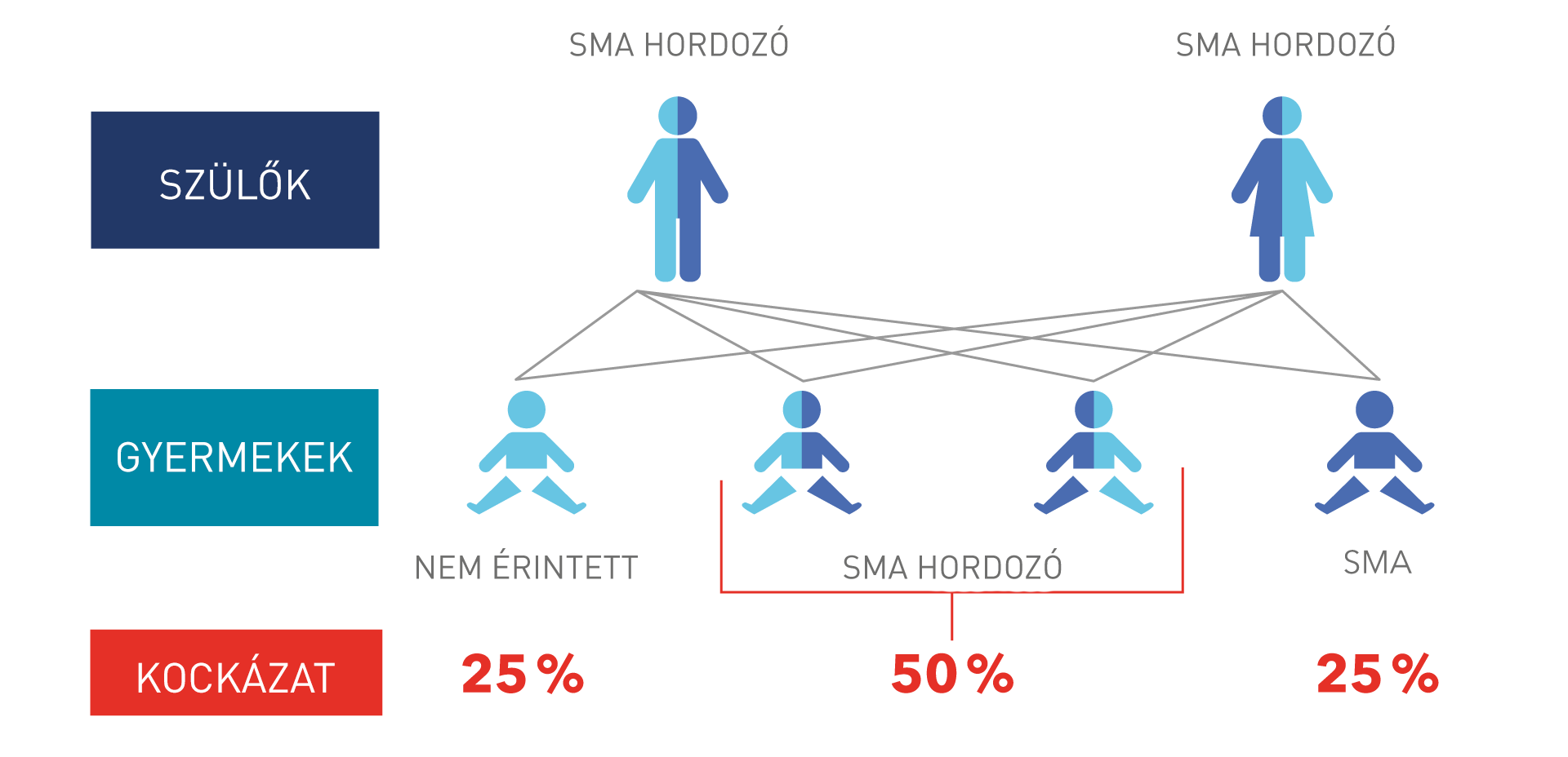 SMA inheritance